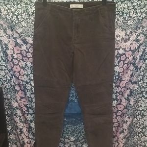 Moto Panel Abercrombie Pants